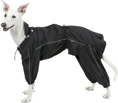 Image de Manteau de Pluie Chien Imperméable Kerbl Manchester, XXL 60 cm, Noir