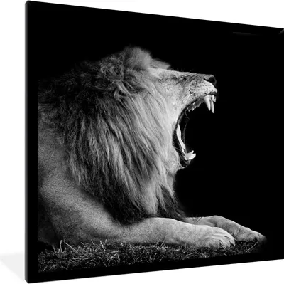 Produktbild von MuchoWow® Gerahmtes Poster Löwe - Wildtiere - Gras - Schwarz - Weiß 40x40 cm - Poster mit Schwarzem Bilderrahmen Wandposter Rahmen Foto Bilder - Mit Rahmen - Wanddekoration Schlafzimmer