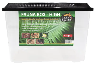 Produktbild von Fauna Box High Large – Transportbox & Kunststoffterrarium für Reptilien, Amphibien und Insekten