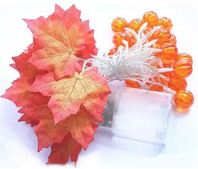 Produktbild von Herbstdeko-Lichterkette aus Kunststoff, 3 Meter lang, 20 LED, Binnenverwendung