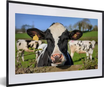 Produktbild von MuchoWow® MuchoWow® Gerahmtes Poster Kuh - Zaun - Gras - Tiere 60x40 cm - Poster mit zchwarzem Bilderrahmen - Schlafzimmer - Plakat in Rahmen - Drucken
