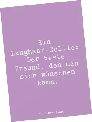 Produktbild von Mr. & Mrs. Panda Postkarte Spruch Langhaar Collie Freund - Lavendeltraum - Geschenk, Hunderassen Eigenschaften, Hunderasse, Fellpflege, bildkarte, charmantes Auftreten