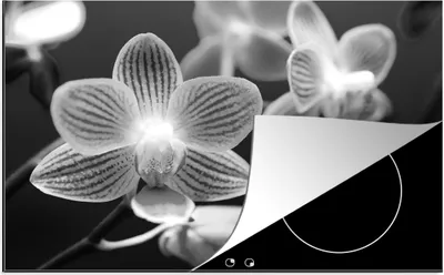 Produktbild von KitchenYeah© Herdabdeckplatte Orchideenblüte - schwarz und weiß , 81x52cm, Küche Deko, Glaskeramikkochfeld Herdabdeckung, Abdeckplatte fùr Kochfeld