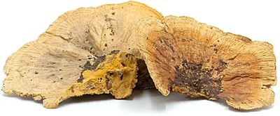 Obrázok produktu pre BioHub Natural Huba 6 kusov v balení