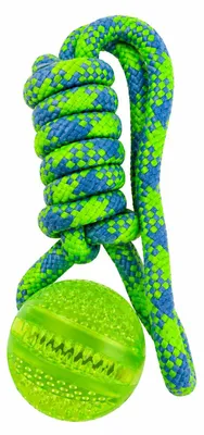 Produktbild von Hunde Wurfseil mit Ball aus 100% TPR Länge 35 cm – Robustes Hundespielzeug für Apportieren & Zahnpflege