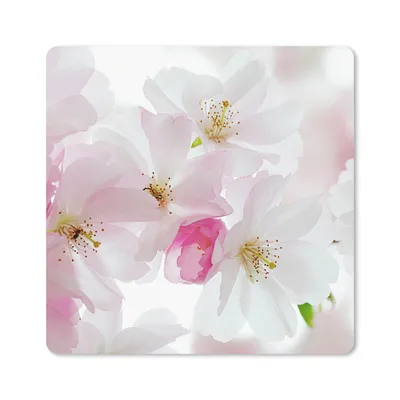 Produktbild von MuchoWow® Mauspad Mousepad Kirschen - Blüte 20x20 cm - Mousepads - Maus Mat - Pad - Mausunterlage - Desk Mat - Bureauartikeln