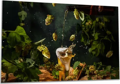 Produktbild von Wallario Herdabdeckplatte aus Glas, Größe 80 x 52 cm 1-teilig, Motiv Braukunst - Hopfenkaltschale