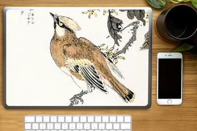 Produktbild von MuchoWow® Laptop Aufkleber Sticker Cover Vogel - Braun - Japanisch - Skandinavisch 40x30 cm - Laptop Dekoration - Selbstklebend