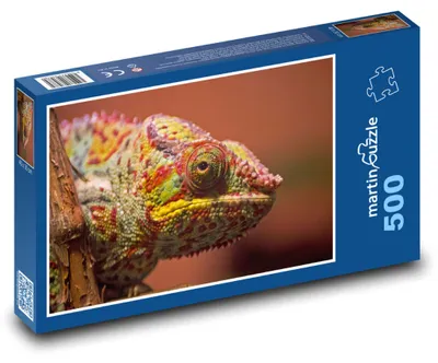 Zdjęcie produktu dla martinpuzzle - Puzzle 500 elementów - "Chameleón"