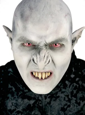 Image de Nosferatu : costumes, masques, accessoires