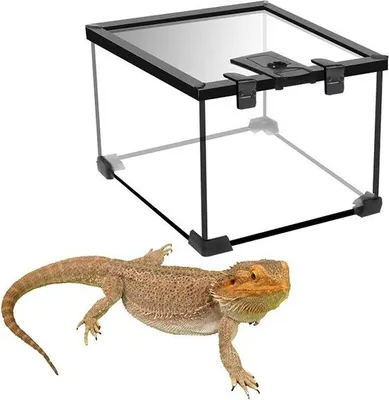 Produktbild von Famanu Terrarium aus Glas für Reptilien - für Bartagamen und Geckos - einfache Montage - 20 x 20 x 16 cm