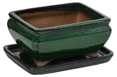 Produktbild von Dehner Bonsaischale, mit Untersetzer, rechteckig, ca. 15 x 6,5 x 11 cm, Keramik, dunkelgrün