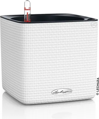 Zdjęcie produktu dla LECHUZA CUBE Color 16, Sadzarka w doniczce, Wolnostojący, Polipropylen (PP), Biały, Wewnętrzna, Czarny
