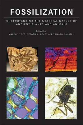 Produktbild von Fossilization