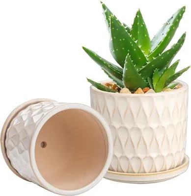 Obrázok produktu pre Sada keramických kvetináčov – 14 cm – biela – odtokové otvory – vhodné pre vnútorné aj vonkajšie použitie – mastné a vodné rastliny, orchidey, bylinky.