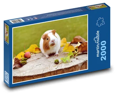 Obrázok produktu pre martinpuzzle - Puzzle 2000 - Morca