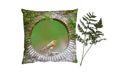 Produktbild von MuchoWow® Zierkissen Sofakissen Wohnzimmer Dekokissen 45x45 cm Vogel - Durchblick - Rotkehlchen - Schlafpolster - Polster für das Sofa
