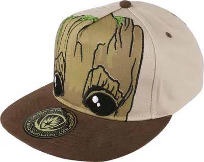 Produktbild von Guardians Of The Galaxy Cap Uni Groot multicolor Standard