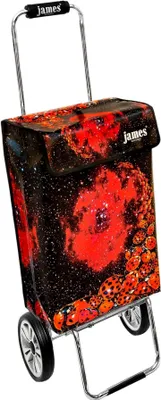 Produktbild von James Einkaufstrolley - LADYBIRD - stabiler Einkaufswagen mit individuellem Design - einfarbig: rot in Ausführung: Chrome19