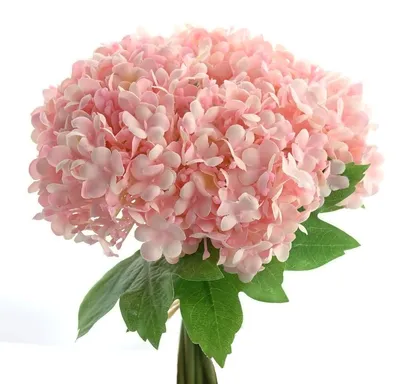 Produktbild von GASPER Schneeballstrauß Rosa 23 cm im 5er Bund - Kunstblumen