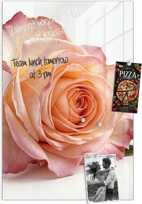 Produktbild von Magnettafel 60x90cm Pinnwand Whiteboard beschreibbar - Elegante Rose Blüte