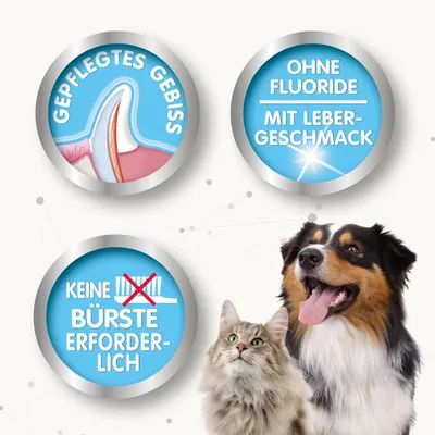 Produktbild von Beaphar Zahnpflege Zerstäuber 150 ml