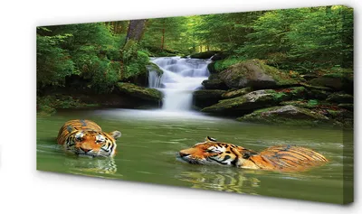 Produktbild von Leinwandbild 120x60 Wandkunst Wasserfall Tiger