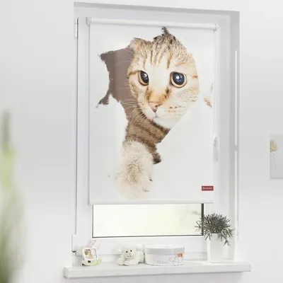 Obrázek produktu pro Roleta zatemňovací 80x150cm Kočka