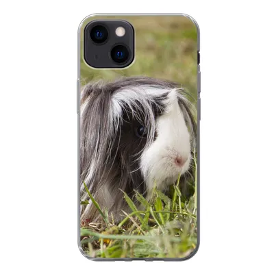 Produktbild von MuchoWow® Handyhülle Schutzhülle Hülle für iPhone 13 Langhaar-Meerschweinchen Silikon Softcase Handy Hülle - Karteninhaber