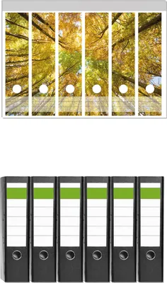 Produktbild von Wallario 6 Stück breite Ordner inkl. Klebeetiketten mit Motive Goldener Herbst - Bunte Blätter von unten betrachtet -  Set mit Rückenschildern / Ordnerrücken Stickern