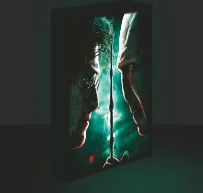 Produktbild von Obraz LED svítící 30x40, Harry potter - Harry vs. Voldemort