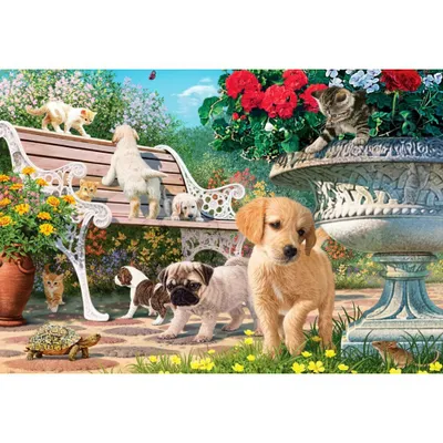 Image de ANATOLIAN Puzzle Jeu de cache-cache 260 pièces