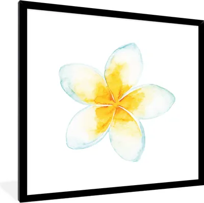 Produktbild von MuchoWow® MuchoWow® Gerahmtes Poster Aquarellfarbe - Blume - Tropisch 40x40 cm - Poster mit zchwarzem Bilderrahmen - Mit Rahmen - Wanddekoration Schlafzimmer
