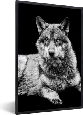 Produktbild von MuchoWow® Gerahmtes Poster Wildlife - Wolf - Schwarz - Weiß 20x30 cm - Poster mit Schwarzem Bilderrahmen Wandposter Rahmen Foto Bilder - Drucken - Bilder Poster im Rahmen