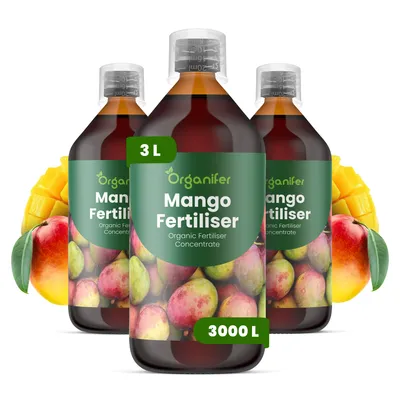 Obrázek produktu pro Mango Tekuté Hnojivo 3x1 L – 2-1-8 NPK – Pro Mango Stromy – Podporuje Bujné Květy & Zdravý Růst – Organifer