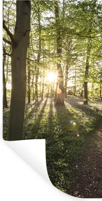 Produktbild von MuchoWow® Wandtattoo Wandsticker Wandaufkleber Wald - Baum - Sonne 80x160 cm Selbstklebend und Repositionierbar - Sticker - Dekorfolie