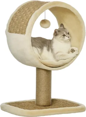 Produktbild von PawHut Katzenkratzbaum Klein Katzenspielzeug Katzenbaum Katzen-Spiel-Stamm Jute