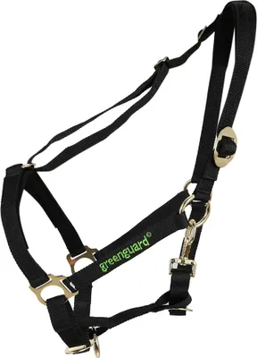 Produktbild von Halfter für greenguard schwarz Pony/55