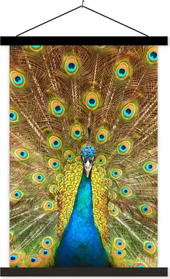 Produktbild von MuchoWow® Textilposter Pfau - Vogel - Blau 60x90 cm mit schwarzem Rahmen - Poster Wohnzimmer