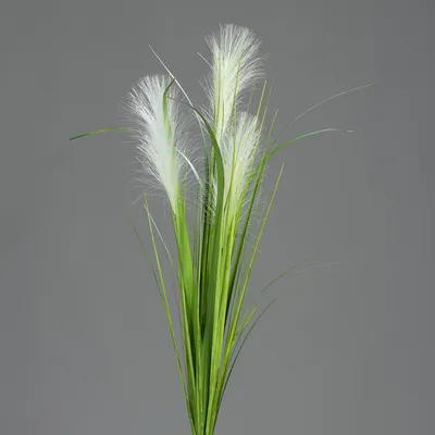 Produktbild von künstlicher Palmgras Busch, Deko Gräserzweig H. 70cm D. 6cm creme grün DPI