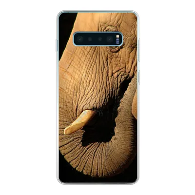 Produktbild von MuchoWow® Handyhülle Schutzhülle Hülle für Samsung Galaxy S10 Lite Elefant - Tiere - Nahaufnahme - Schwarz Silikon Softcase Handy Hülle - Schutz