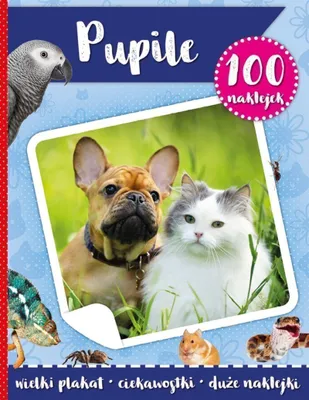 Produktbild von Pupile. 100 naklejek z plakatem