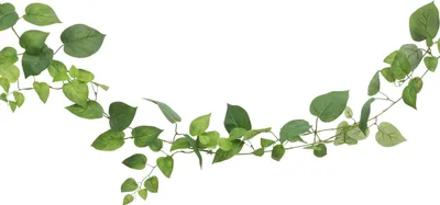 Produktbild von Chaks Kunstpflanze/Hangepflanzengirlande - Efeu - grun - 180 cm