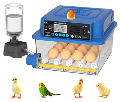 Vollautomatischer Brüter für 16 Eier, 1500 g