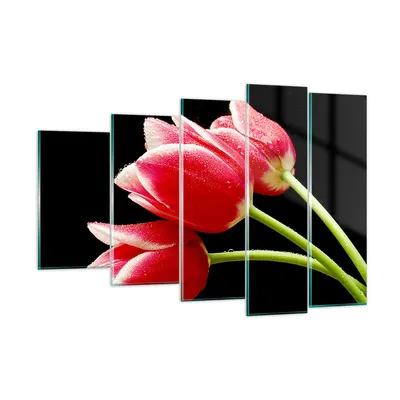 Produktbild von Bilder auf glas - Tulpe garten blume blumenstrauß - 150x100cm - Glasbilder - Wandbilder - Kunstdruck - Wanddekoration aus Glas - Glas Bilder - Wandbild auf Glas - GEG150x100-1494