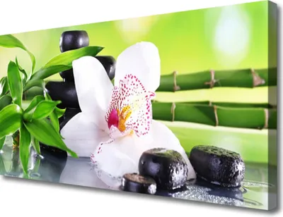 Produktbild von Tulup Leinwand-Bilder 100x50 Wandbild Canvas Kunstdruck Bambusrohre Blume Steine