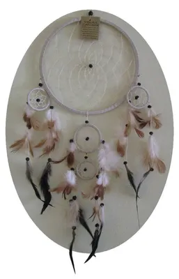 Image de Attrape-rêves Dreamcatcher Plumes Rêves Cadeau Décor Suspendu Carillon Harmonisation de l'espace 32 cm, blanc