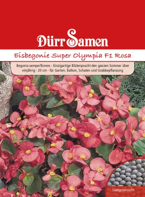 Productafbeelding van Cyclamen 'Super Olympia F1' roze | Cyclamenzaad van Dürr Samen