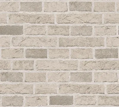 Obrázek produktu pro A.S. Création tapeta Dekora Natur 6, krémově bílá, signálně bílá, sépiově hnědá, 10,05 m x 0,53 m, 779830, 7798-30
