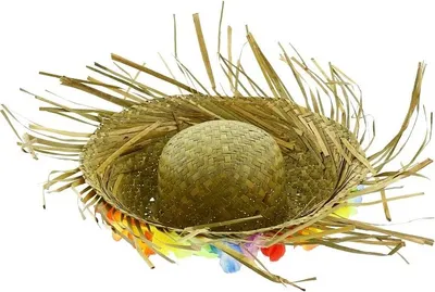 Immagine prodotto di Hawaiischer Hut Größe L (Party - Kostümparty)